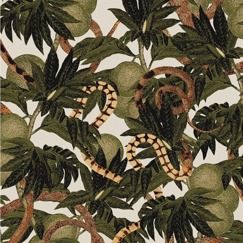 2 Rolls Masureel Cabinet of Curiosities Equator Jungle  Khroma Wallpaper